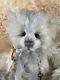 Charlie Mohair 2015 Year Bear By Isabelle Lee 13 Inches U. S New Old Stock