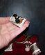 Cat In The Box Miniature Handmade Ooak 112 Dollhouse Realistic Handsculpte Igma