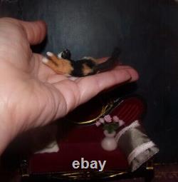 Cat in the box miniature handmade OOAK 112 dollhouse realistic handsculpte IGMA