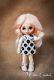 Custom Doll Ooak Repaint Petite Blythe Artist Doll By Yumi Camui