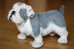 English Bulldog. Size 38cm. Realistic toy. Dog. Puppy