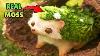 I Made A Mossy Hedgehog For All Your Cottagecore Needs L Diy Art Doll