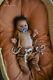 Lifelike Ethnic Reborn Baby Art Doll Adalyn By Prototype Artist Anna Sheva
