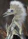 Monster High Ooak Handmade Rook Bird Ukrainian Artist Doll