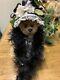 New Adorable Handmade Artist Bear By Joan Woessner, One Of A Kind 6 Mohair Bear