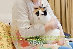 Needle Felted Animal Made to order custom cat Wool Art Sculpture ooak gift x