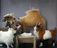 Needle Felted Christmas Nativity Set Sheep Camel Donkey Goat Wool Sculpture