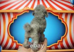 Needle felted dog, realistic Dog toy, OOAK, collectible, handmade, Poodle
