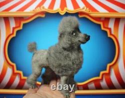 Needle felted dog, realistic Dog toy, OOAK, collectible, handmade, Poodle