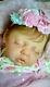 New Artist 24 6 Mo. Chubby Baby Camille Rooted & Adg Doll Reborn By Peg Spencer