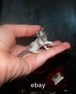 OOAK 112 CAT realistic miniature handmade handsculpted dollhouse IGMA by artist