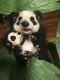 Ooak Artist Teddy Bears Mee Too Panda & Cub Hand-shaded Wool Felted M Klug Vint