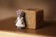 Ooak Bear Miniature Artist Spring Bear Handmade Toy Doll House Kamilakw