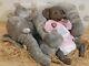 Ooak Reborn Baby Elephant Doll Babette By Melissa Mccrory Dumbo Reborn Dolls