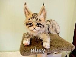 OOAK Realistic Maine Coon Kitten Cat Artist Handmade Plush Toy Posable Brand New