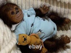 OOAK Reborn Baby BOY MONKEY Doll BUBBLES was Bindi Bountiful Baby COMPLETE cute