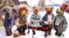 Olga Arkhipova Persons Collection Miniature Teddy Bears Handmade