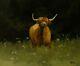 Original Oil Painting Hand Painted One Of A Kind Art Highland Cattle By J Payne