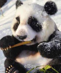 Panda bear felted panda bear