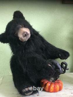 Pawtrait Bears OOAK Realistic Black Bear Cole / Design by Brigitte Smith