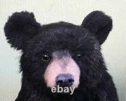 Pawtrait Bears OOAK Realistic Black Bear by Brigitte Smith
