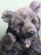 Pawtrait Bears Ooak Realistic Taupe Bear, George Designed By Brigitte Smith