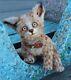 Plush Ooak Artist Handmade Collectible Wild Cat Realistic Toy