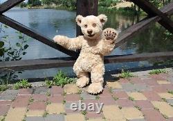 Plush realistic Bear, collectible bear, handmade toy, art toy, teddy bear, ooak