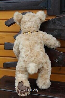 Plush realistic Bear, collectible handmade toy, art toy