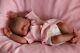 Reborn Baby Doll Preemie 15 Premature Faith, Artist 9yrs Marie Outfit May Vary