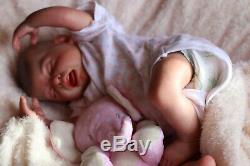 REBORN BABY DOLL PUDDIN NOW PENNY HANDPAINTED BY ARTIST 9yrs SUNBEAMBABIES GHSP