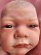 Reborn Baby See Video, Child`s Doll Artist Brown Eyes + Gifts. Box Opening Ghsp