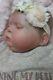Realistic Reborn Baby Donna Rubert Spice Artist 9yrs Marie At Sunbeambabies Ghsp