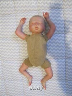 Reborn Baby Girl Leah Now Lily Floppy Lifelike Doll /artist Dan / Sunbeambabies