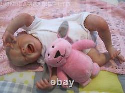 Reborn Bountiful Baby Crying Doll Baby Artist Of 6 Yrs Dan Sunbeambabies Ghsp