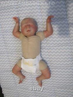 Reborn Bountiful Baby Doll Daisy 20 Baby Artist Of 6 Yrs Dan Sunbeambabies Ghsp