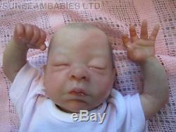 Reborn Doll 16 Bountiful Baby Girl Teagan By Artist Dan At Sunbeambabies Ghsp