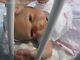Reborn Doll Bountiful Baby Trey Michelle Fagan 20 By Artist Dan Sunbeambabies