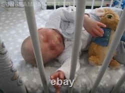 Reborn Toddler Doll 24 Bountiful Baby Boy By Artist Dan Sunbeambabies