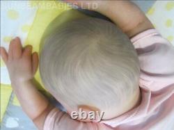 Reborn Toddler Doll 8lbs Bountiful Baby Girl Artist 7yrs Dan Sunbeambabies Ghsp