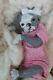 Reborn Hybrid Gray Puppy Artist Doll Hand Painted Baby Pup Princess Pug Dog