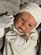 Sweet Reborn Baby Girl Doll Mary Was Noelle Adrie Stoete Completed Coa