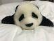 Wool Panda Realistic Ooak Handmade Artist Bear Charlie Bears Steiff Collectible