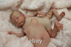 Baby Doll Cassie Brace Pip & Belly L/e Coa Preemie Artist Sunbeam Babies