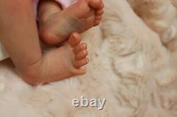 Baby Doll Cassie Brace Pip & Belly L/e Coa Preemie Artist Sunbeam Babies