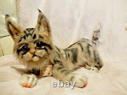 Ooak Réaliste Maine Coon Kitten Cat Artist Handmade Peluche Jouet Posable Flambant Neuf