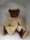 Rare Vintage 13 Ooak Mohair Teddy Bear Par L’artiste Carolyn Jacobsen Années 1990