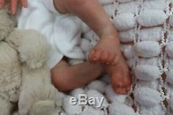 Reborn Baby Doll Preemie 16 Précoce Tayla Par L'artiste De Marie 9yrs Sunbeambies