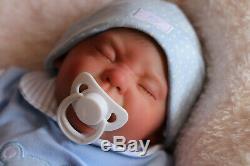 Reborn Baby Doll Puddin Maintenant Logan Handpainted Par L'artiste Sunbeambabies Ghsp
