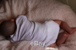Reborn Baby Doll Puddin Maintenant Logan Handpainted Par L'artiste Sunbeambabies Ghsp